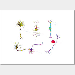 Neuron cells Posters and Art